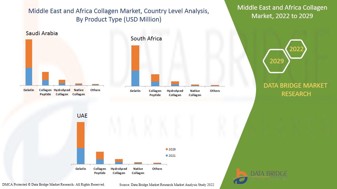 Mercado de colágeno en Oriente Medio y África