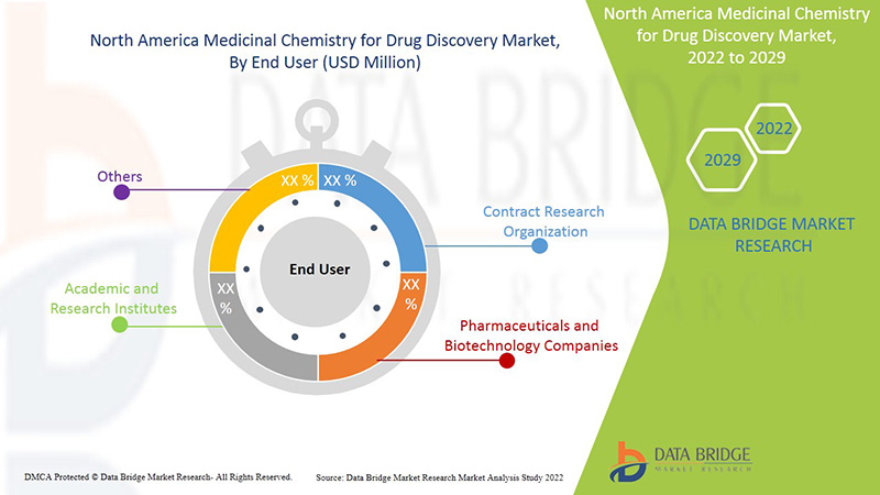 سوق الكيمياء الطبية لاكتشاف الأدوية في أمريكا الشمالية