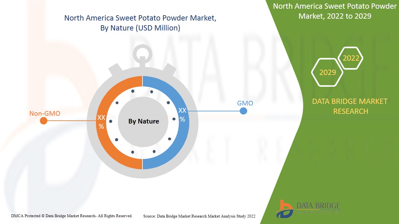 North America Sweet Potato Powder Market