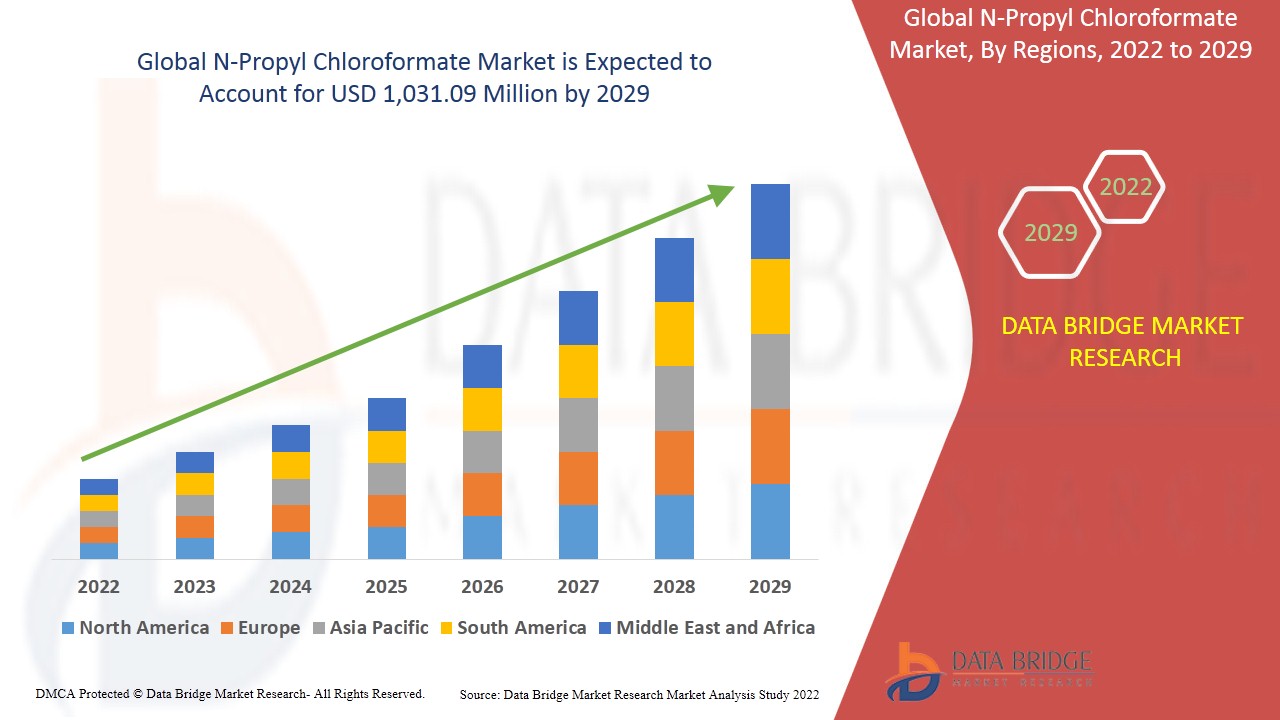 N-Propyl Chloroformate Market