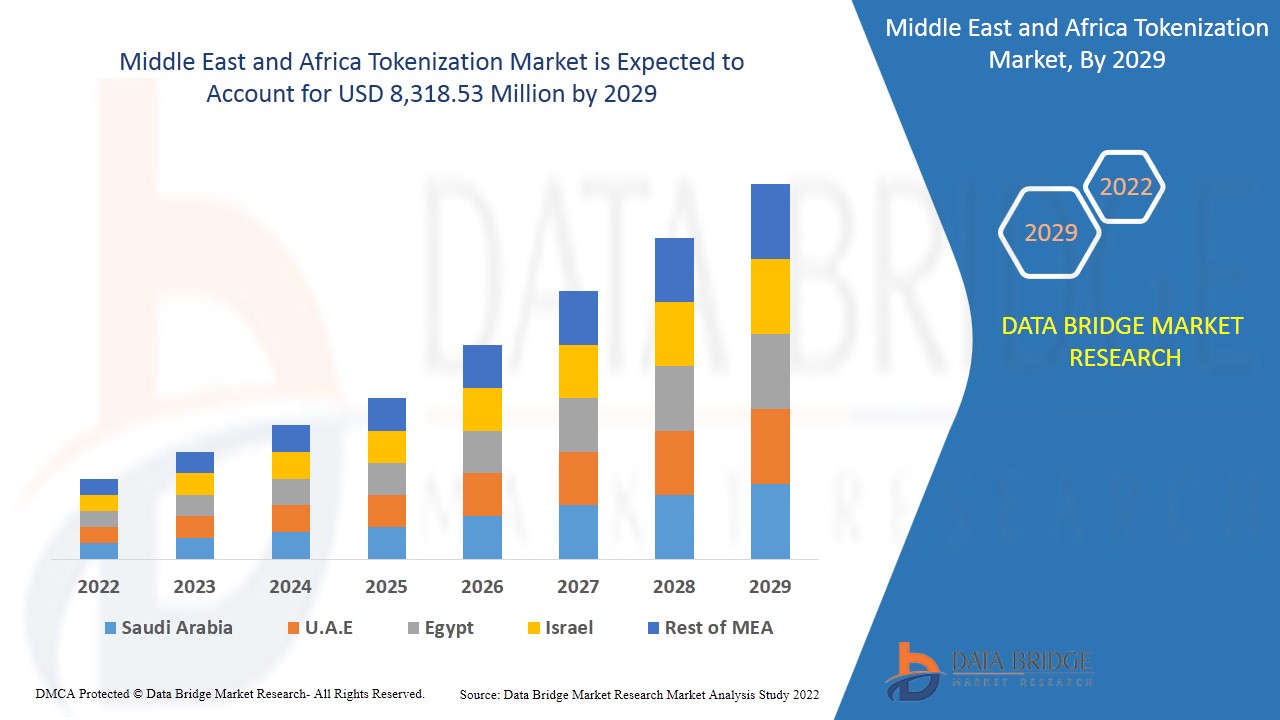 Middle East and Africa Tokenization Market