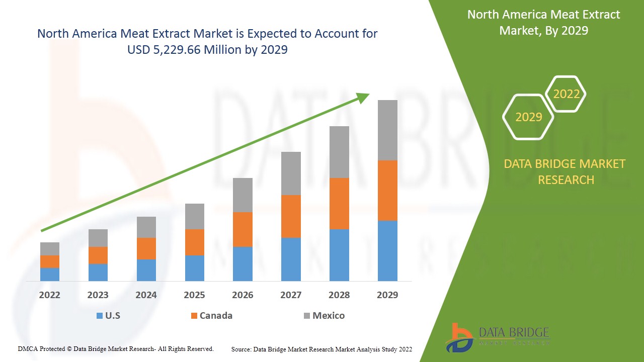 North America Meat Extract Market