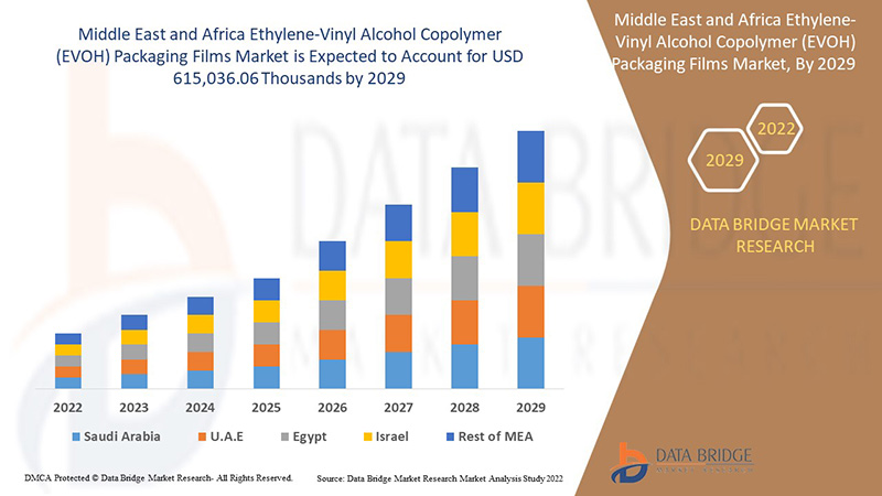 Marché des films d'emballage en copolymère d'éthylène et d'alcool vinylique (EVOH) au Moyen-Orient et en Afrique