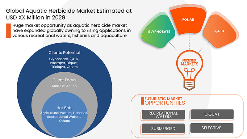 水生除草剤市場