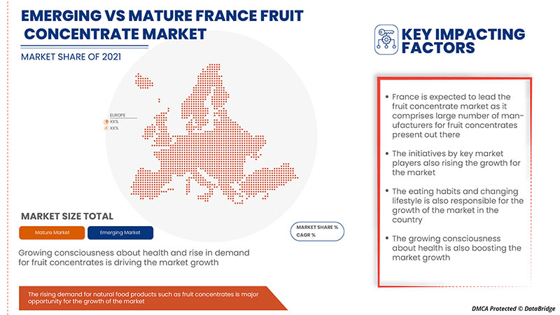 Marché des concentrés de fruits en France