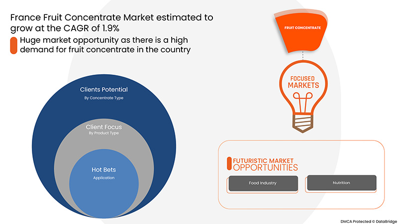 Fruchtkonzentratmarkt in Frankreich