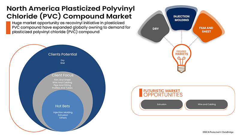 Plasticized Polyvinyl Chloride (PVC) Compound Market