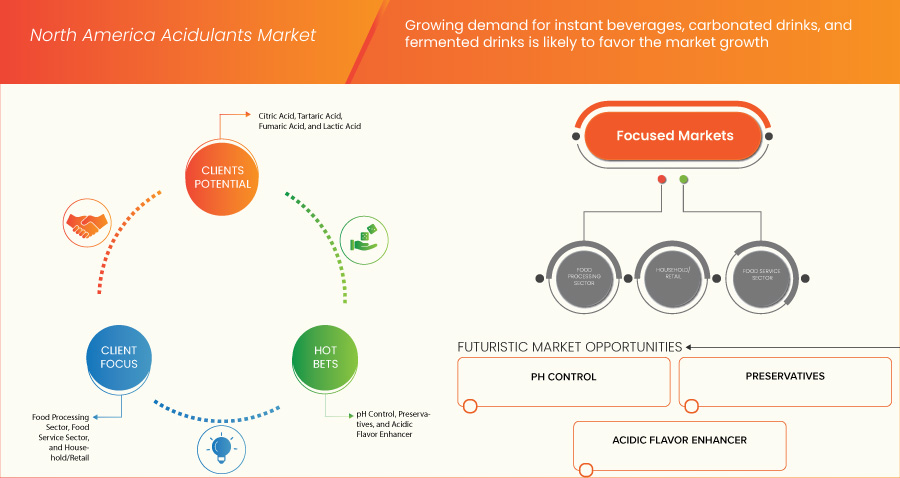North America Age-Related Macular Degeneration (AMD) Disease Market