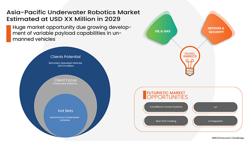 Underwater Robotics Market,