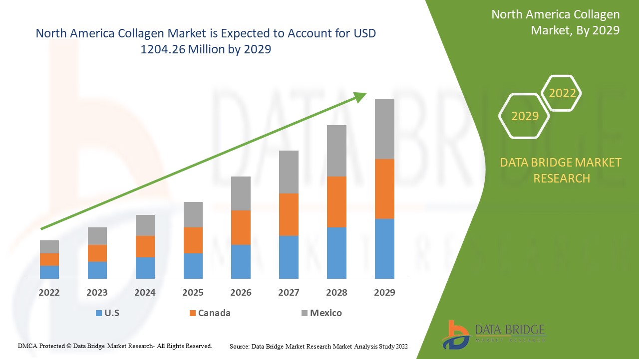 North America Collagen Market