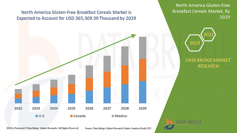 North America Gluten-Free Breakfast Cereals Market