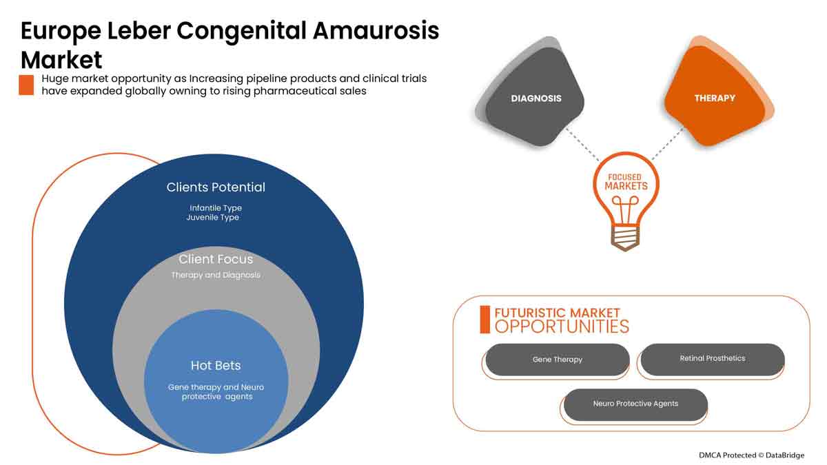 Leber Congenital Amaurosis Market