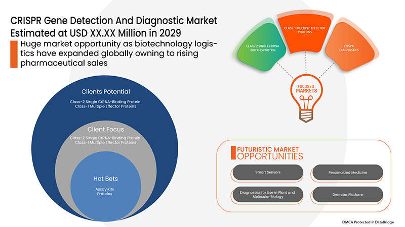 Middle East and Africa CRISPR Gene Detection and Diagnostic Market