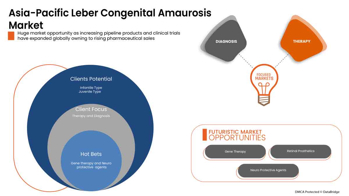 Leber Congenital Amaurosis Market