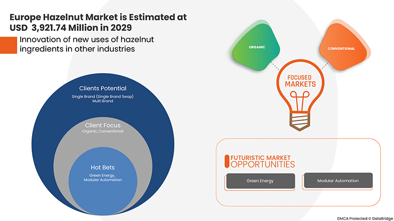 Europe Hazelnut Market