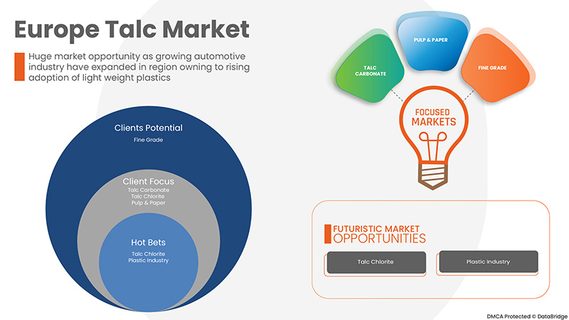 سوق التلك في أوروبا