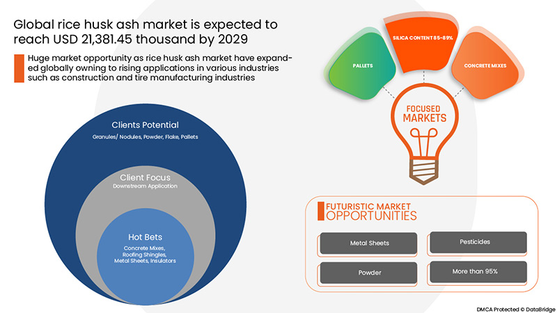 Rice Husk Ash Market