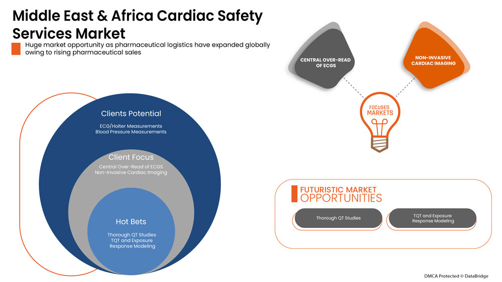 Cardiac Safety Services Market