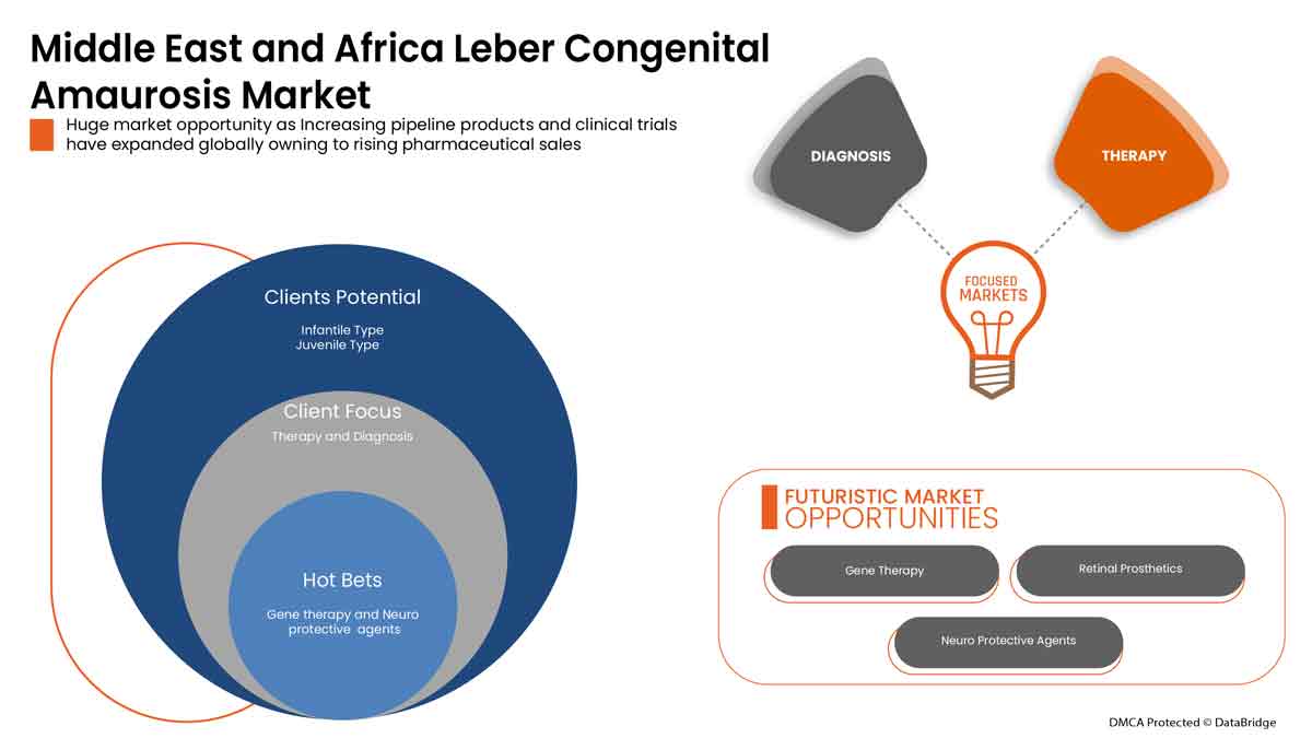 Leber Congenital Amaurosis Market