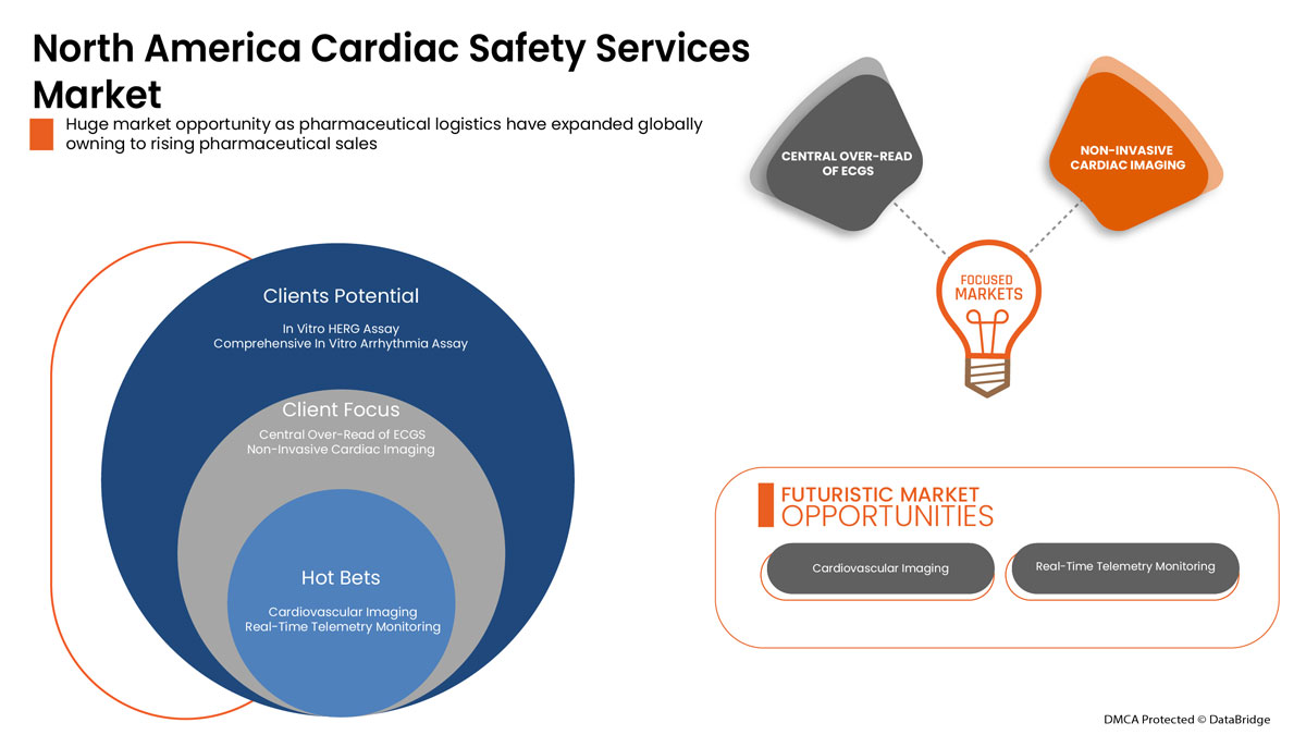 Cardiac Safety Services Market