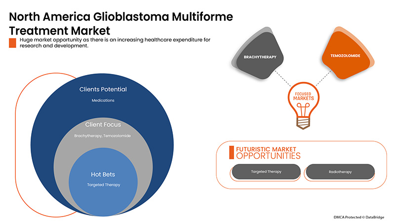 Glioblastoma Multiforme Treatment Market
