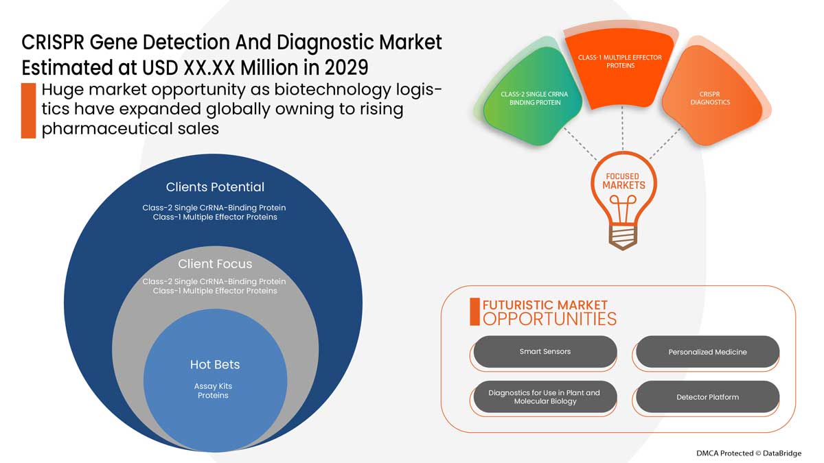 CRISPR Gene Detection and Diagnostic Market