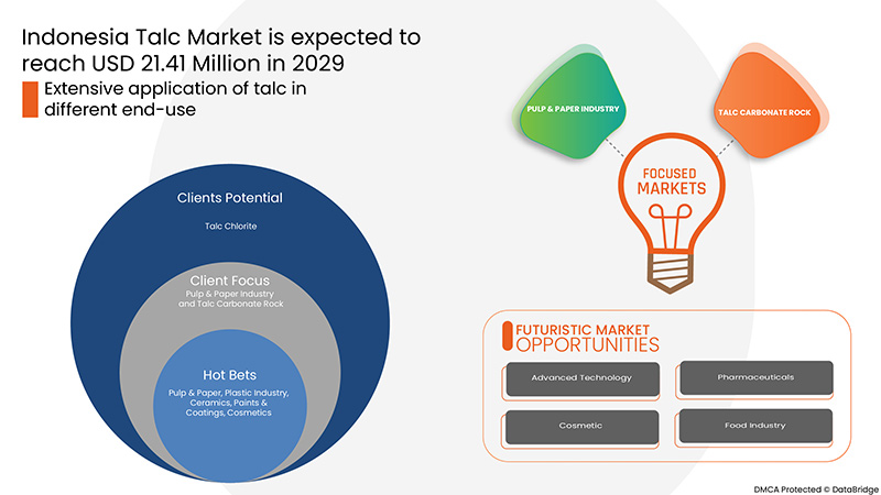 Indonesia Talc Market