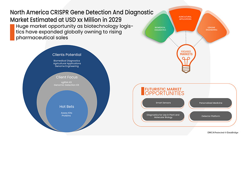 CRISPR Gene Detection and Diagnostic Market