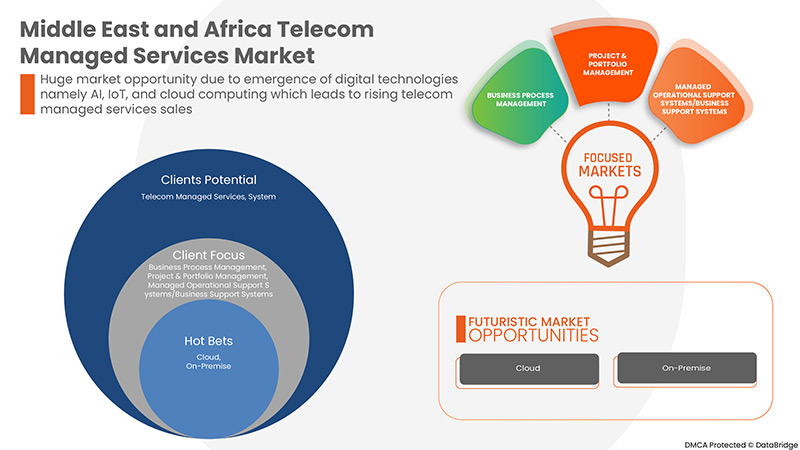 Middle East and Africa Telecom Managed Services Market