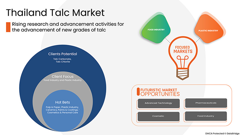 Talc Market