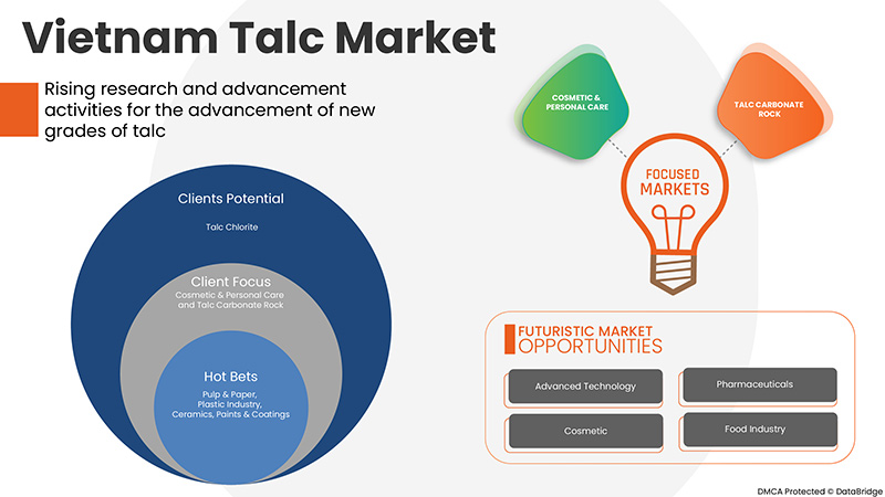 Talc Market