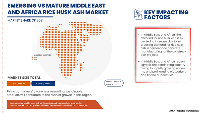 Rice Husk Ash Market