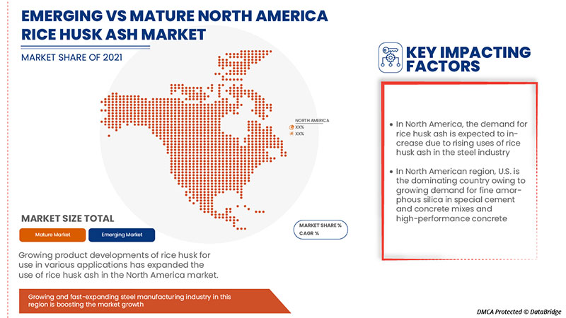 Rice Husk Ash Market