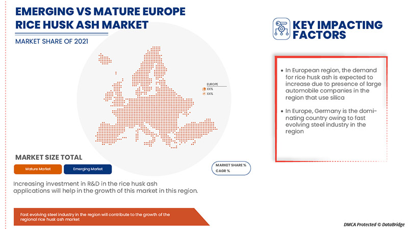 Rice Husk Ash Market