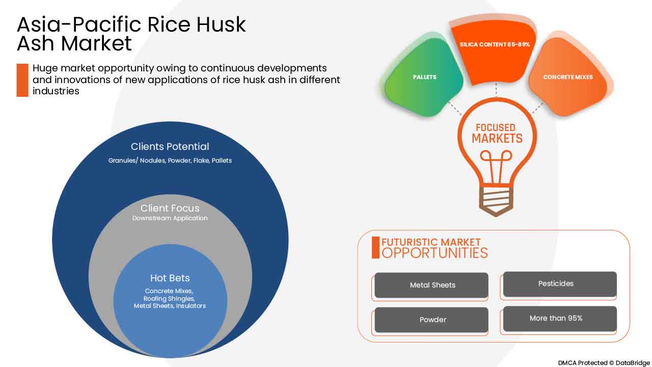 Rice Husk Ash Market