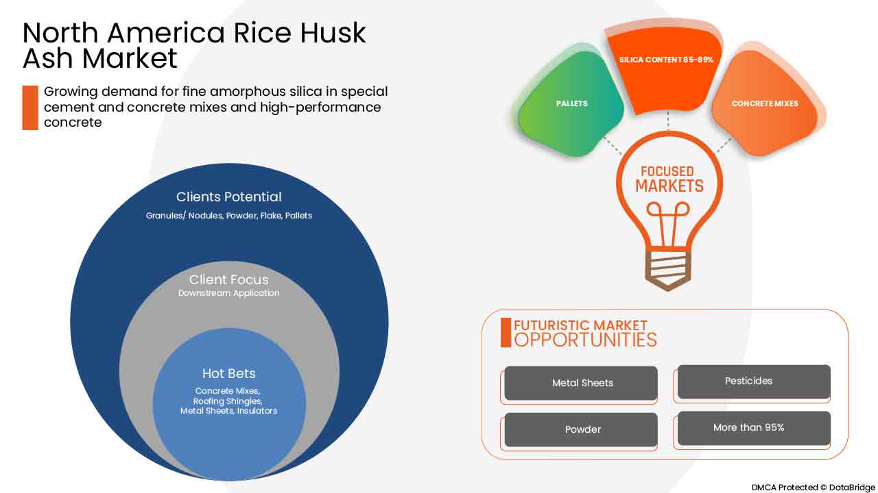 Rice Husk Ash Market