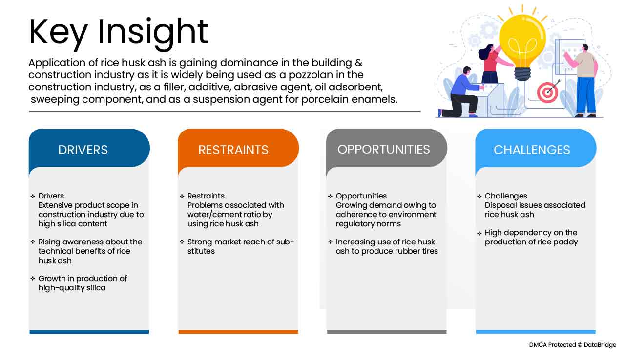 Rice Husk Ash Market