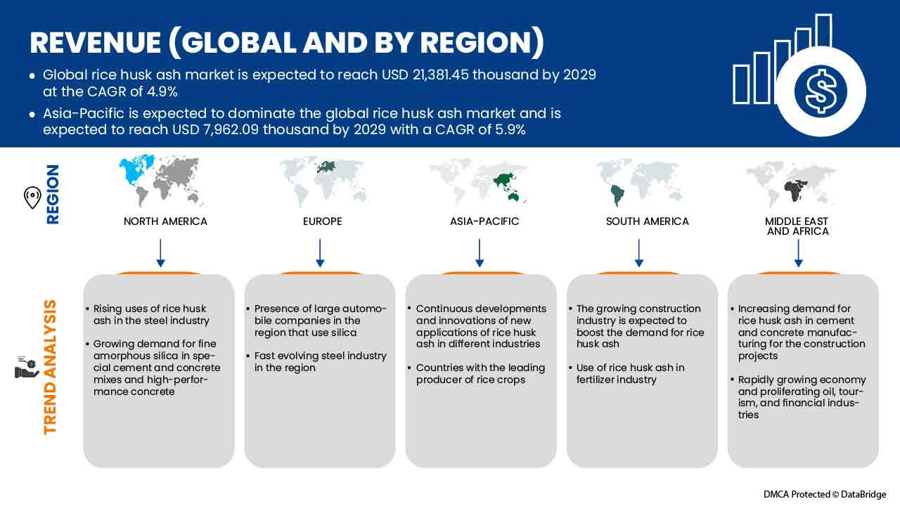 Rice Husk Ash Market