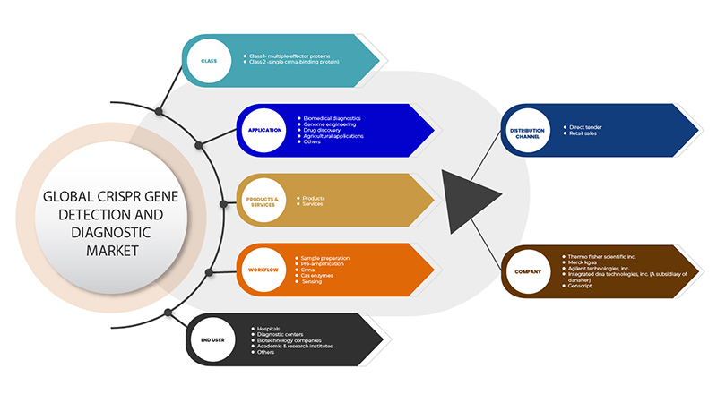 CRISPR Gene Detection and Diagnostic Market