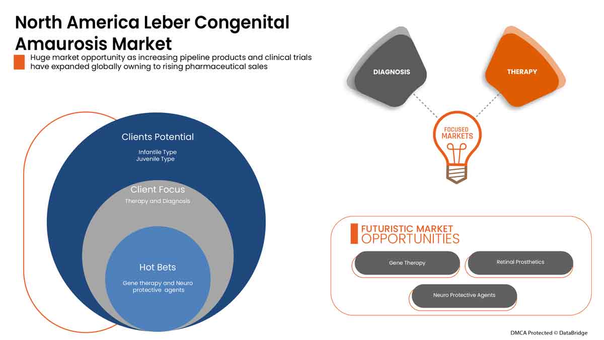 Leber Congenital Amaurosis Market