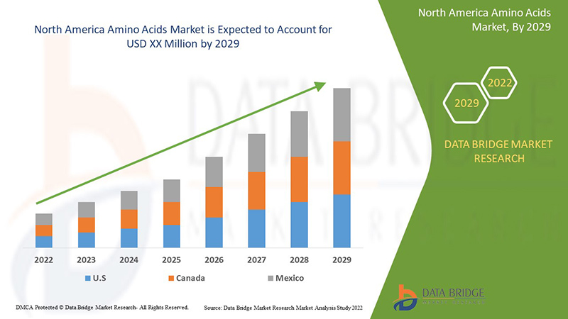 North America Amino Acids Market