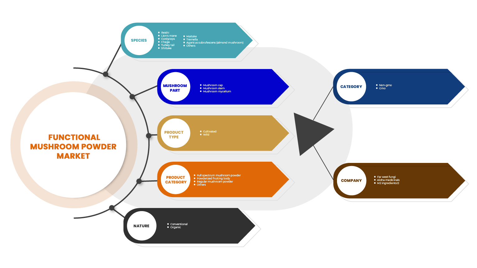 functional mushroom powder Market