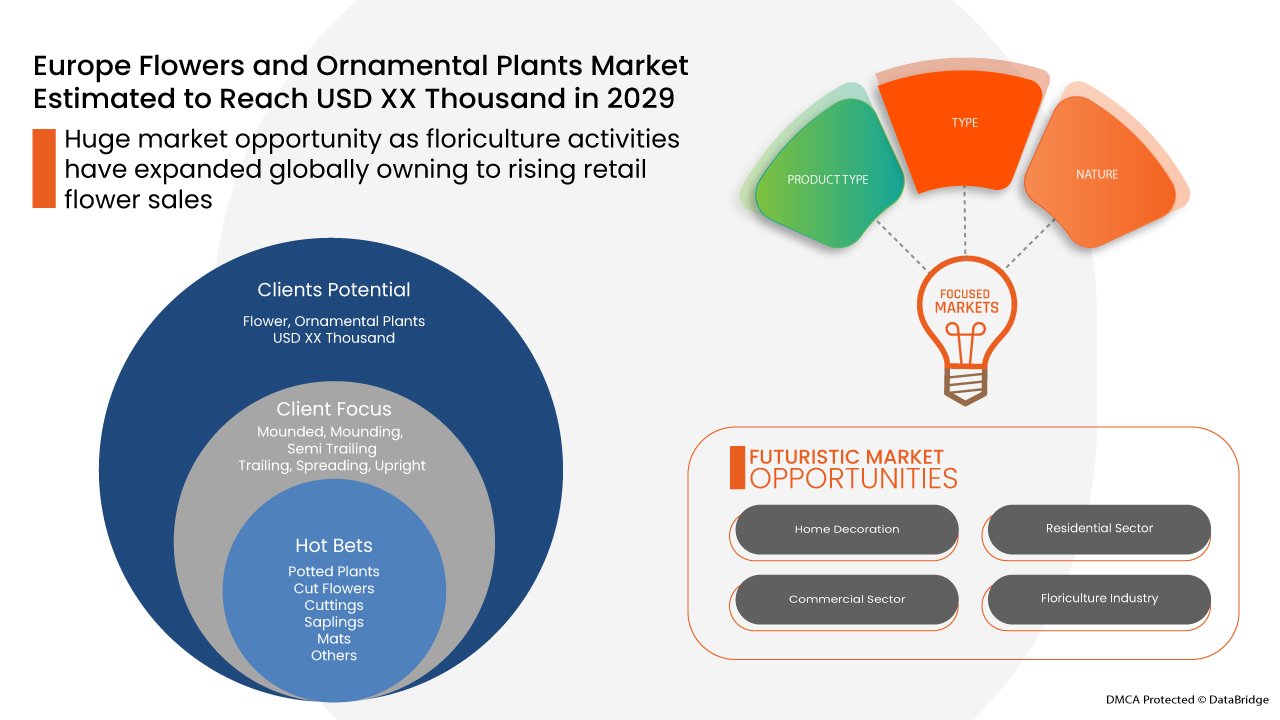 سوق الزهور والنباتات الزينة في أوروبا