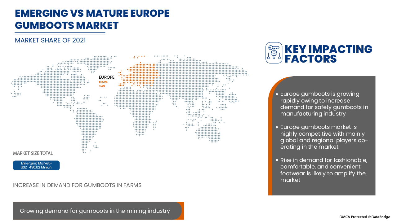 ヨーロッパ長靴市場