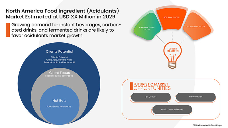 North America Food Ingredients (Acidulants) Market 