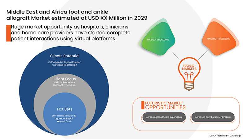 Middle East and Africa Foot and Ankle Allografts Market 