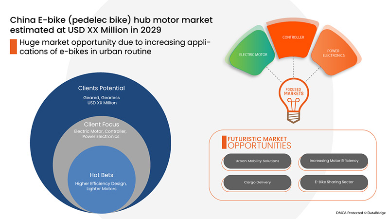 China E-Bike (Pedelec bikes) Hub Motor Market