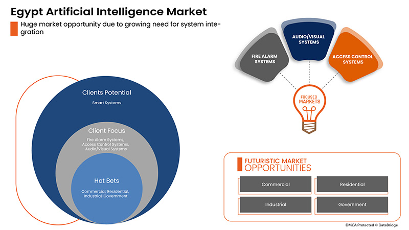 Egypt Artificial Intelligence Market