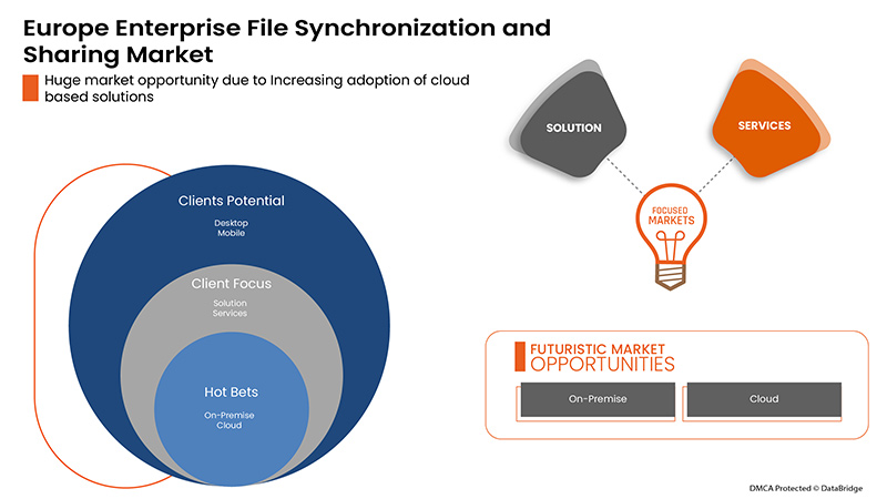 Europe Enterprise File Synchronization and Sharing Market