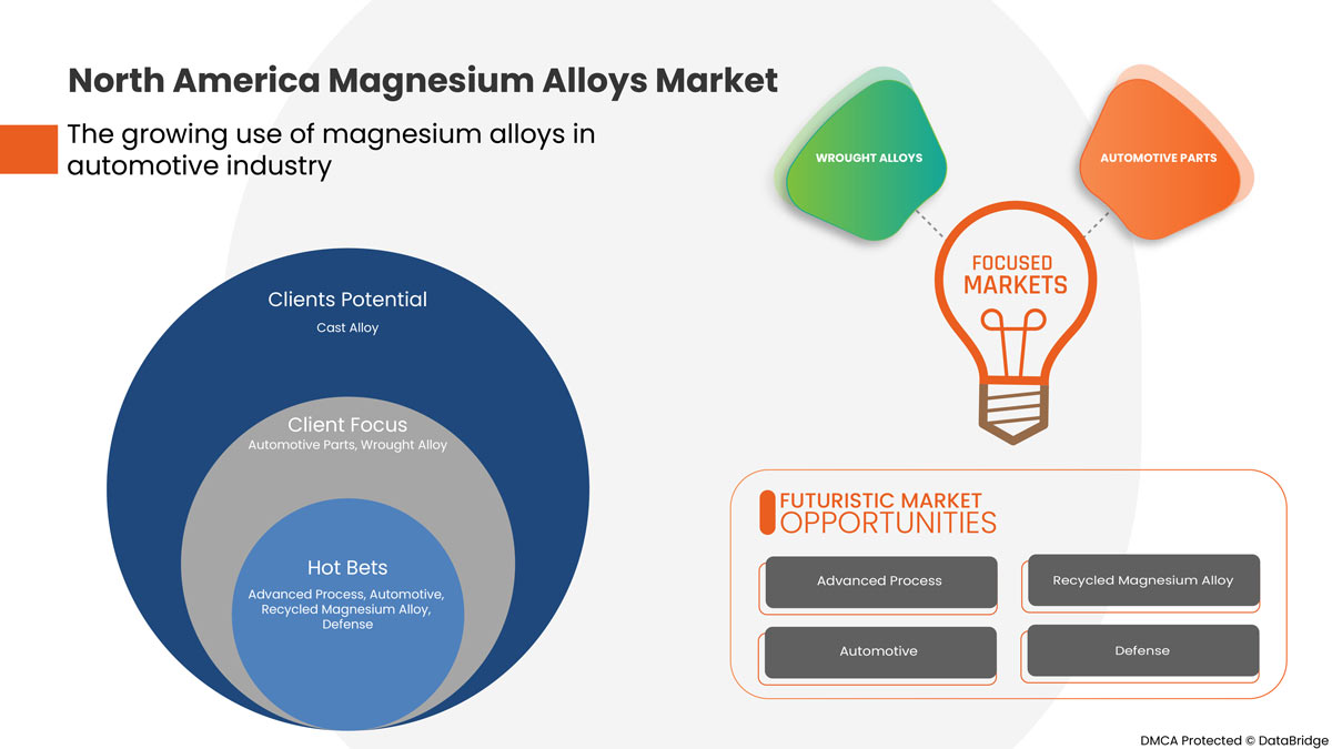 North America Magnesium Alloys Market